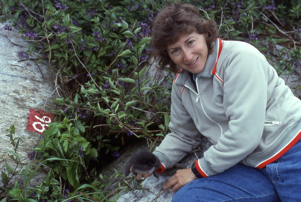 This image has an empty alt attribute; its file name is Su-with-puffling-File0061-1024x686.jpg
